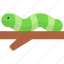 caterpillar, wildlife, animal, worm, insect 