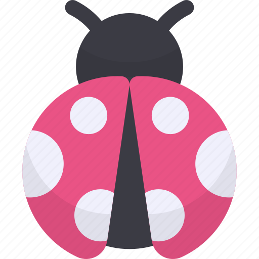 Ladybug, bug, beetle, animal, insect, ladybird icon - Download on Iconfinder