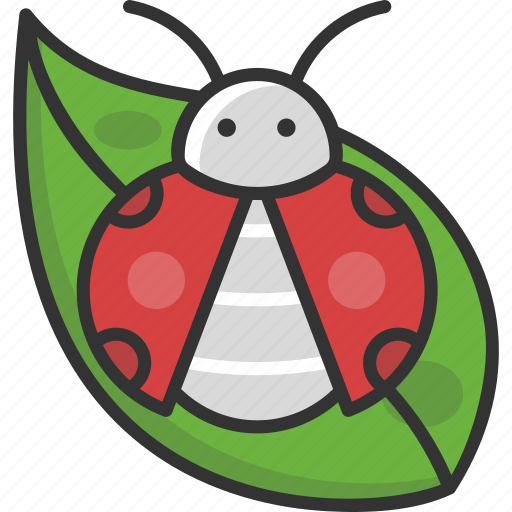 Bug, garden, insect, ladybird, ladybug icon - Download on Iconfinder