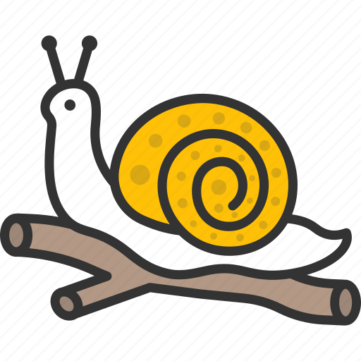 Garden, nature, slow, slug, snail icon - Download on Iconfinder