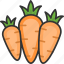 agriculture, carrots, food, vegetables 