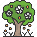 ecology, garden, spring, tree, yard