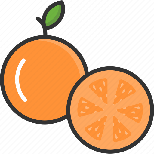 Diet, food, fruit, orange, vegan icon - Download on Iconfinder