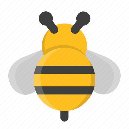 Bee, bumble bee, fly, honey, honey bee, insect, spring icon - Download on Iconfinder