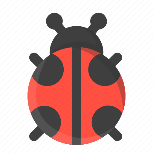 Animal, beetle, bug, insect, ladybird, ladybug, spring icon - Download on Iconfinder