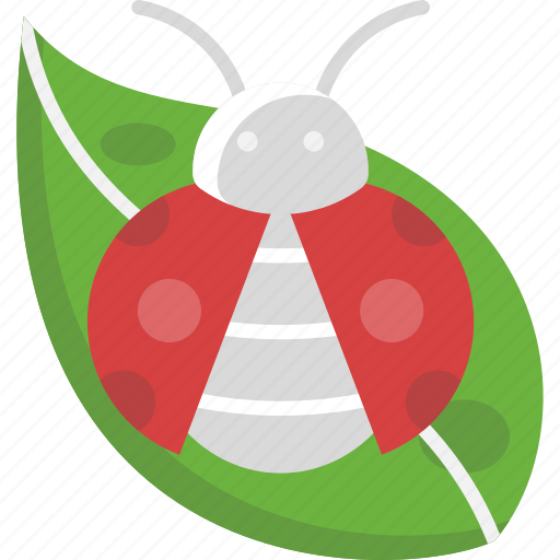 Bug, garden, insect, ladybird, ladybug icon - Download on Iconfinder