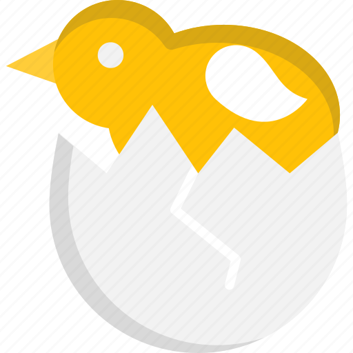 Chick, chicken, egg shell, shell icon - Download on Iconfinder