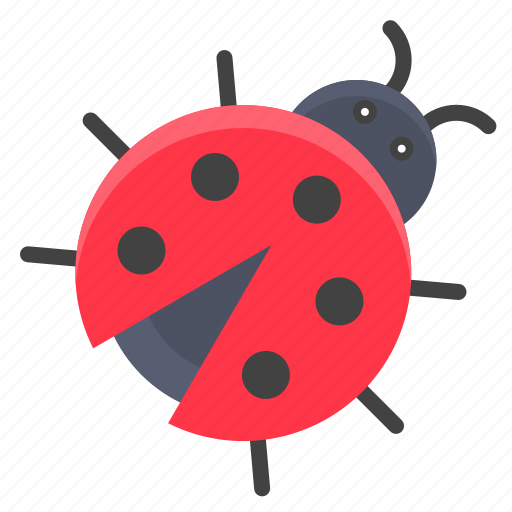 Animal, bug, insect, ladybug, nature, spring icon - Download on Iconfinder