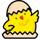 animal, chick, chicken, cute, egg