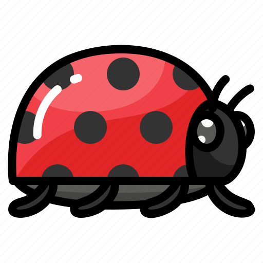 Beetle, bug, ladybug, spring, summer icon - Download on Iconfinder