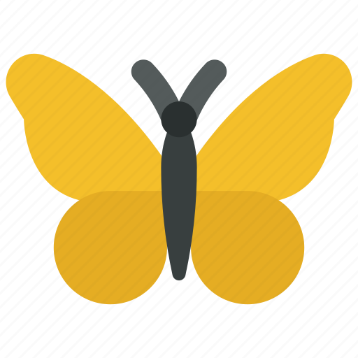 Butterfly, spring, bug, insect, creature icon - Download on Iconfinder
