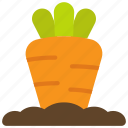 carrot, growth, spring, farming, food