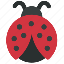ladybug, spring, insect, creature, nature, animal