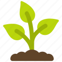 plant, growth, spring, grow, plants, seeds