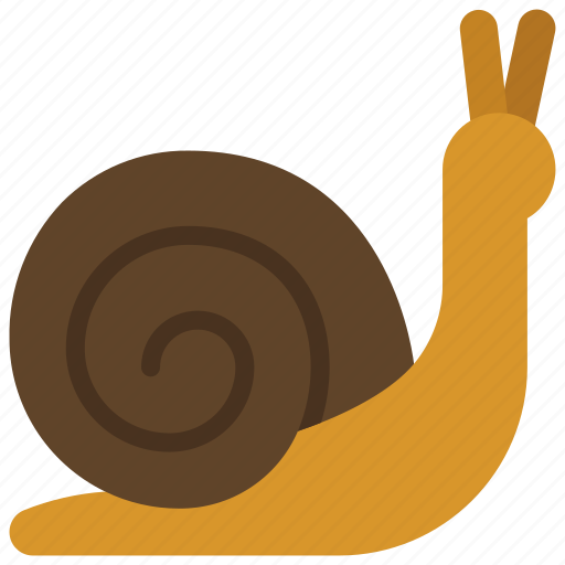 Snail, spring, creature, animal, slug icon - Download on Iconfinder