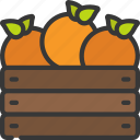 fruit, crate, spring, crates, wooden, food