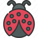 ladybug, spring, insect, creature, nature, animal