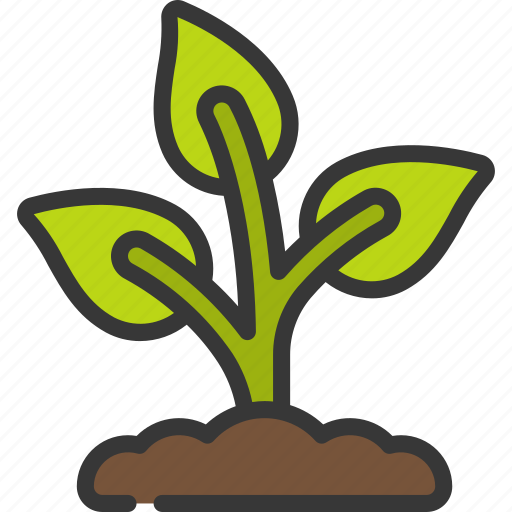 Plant, growth, spring, grow, plants, seeds icon - Download on Iconfinder
