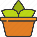 plant, pot, spring, garden, farm, grow