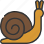 snail, spring, creature, animal, slug 