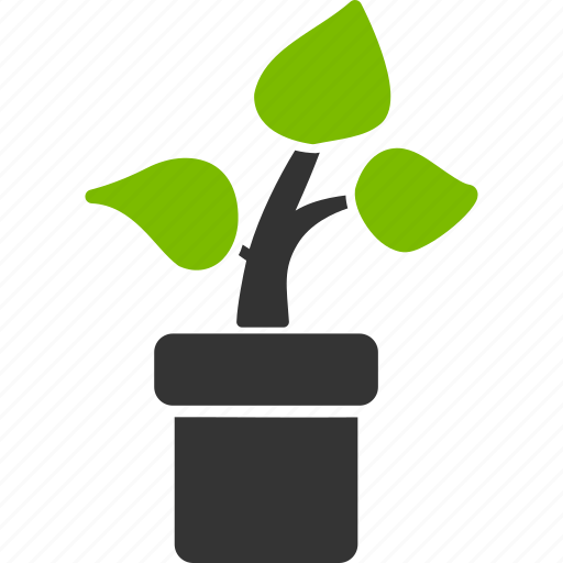 Plant, eco project, flower, nature, organic, ecology, environment icon - Download on Iconfinder