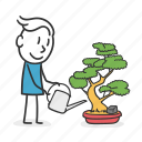 tree, bonsai, garden, pot, watering, growth, growing, botanical, man