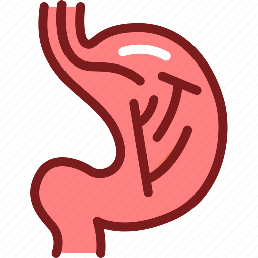 Stomach, endoscopy, medical, checkup icon - Download on Iconfinder