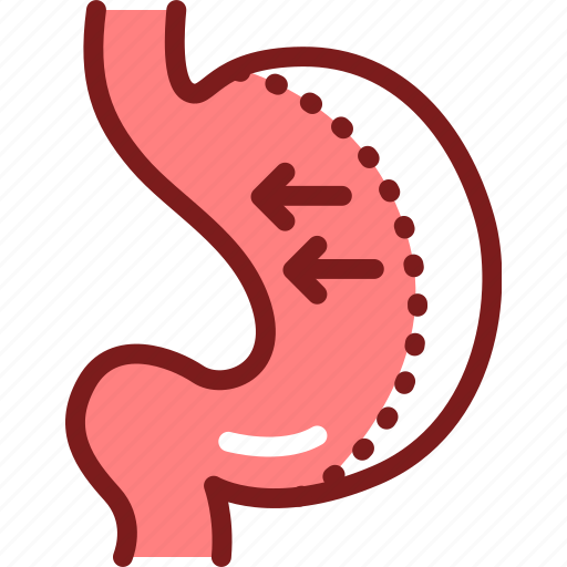 Stomach, organ, sleeve, gastrectomy icon - Download on Iconfinder