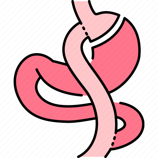 Gastric, bypass, rygb, weight, loss, surgery icon - Download on Iconfinder