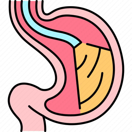 Stomach, gastric, checkup, endoscopy, endoscope icon - Download on Iconfinder