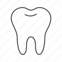 dental, enamel, healthcare, healthy, stomatology, teeth, tooth