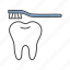 brushing, care, dental, dentifrice, hygiene, tooth, toothbrush 