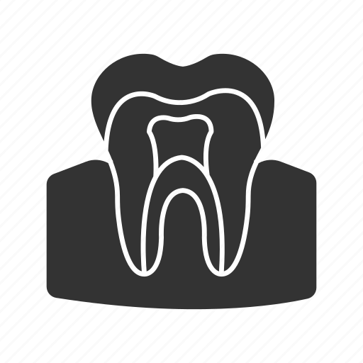 Anatomy, dental, dentin, dentistry, enamel, pulp, tooth icon - Download on Iconfinder