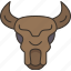 bison, skull, horn, animal, hunting 