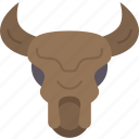 bison, skull, horn, animal, hunting