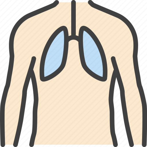 Fluorography, lungs, pneumonia, xray icon - Download on Iconfinder