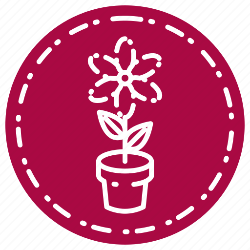 Flower, knowledge, learning, school, study icon - Download on Iconfinder