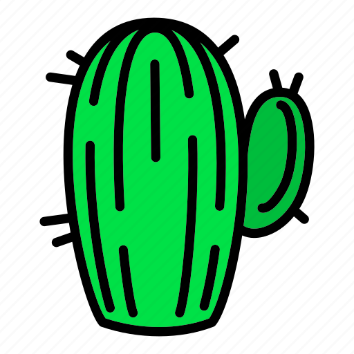 Border, business, cactus, floral, flower, mexican, summer icon - Download on Iconfinder