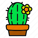 abstract, cactus, flower, hand, plant, pot, tree