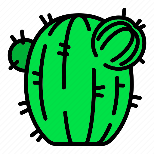 Cactus, christmas, floral, flower, green, hand, tree icon - Download on Iconfinder