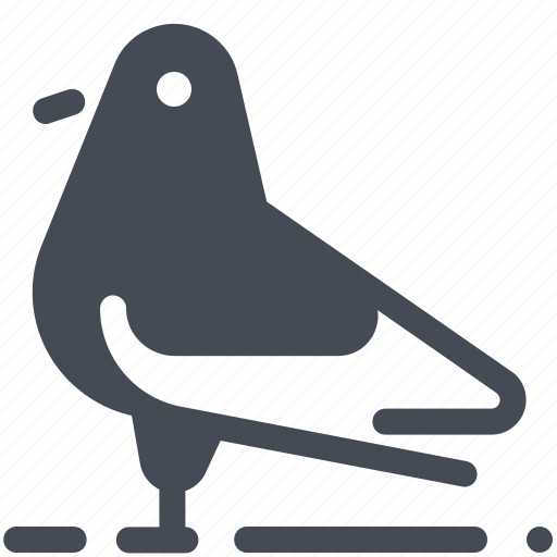 Bird, pigeon icon - Download on Iconfinder on Iconfinder