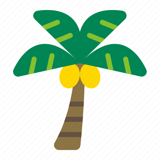 Beach, nature, palm, palm tree, plant, summer, tree icon - Download on Iconfinder