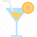 beverage, cocktail, drink, juice, martini, orange