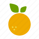 fruit, orange, summer, tangerine