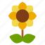 flower, gardening, holiday, summer, sunflower 