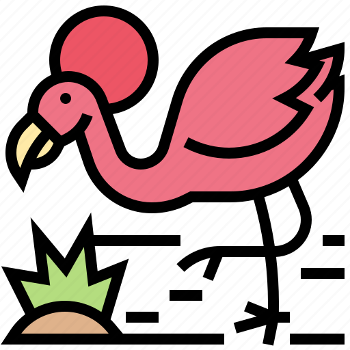 Animal, bird, flamingo, nature, wildlife icon - Download on Iconfinder