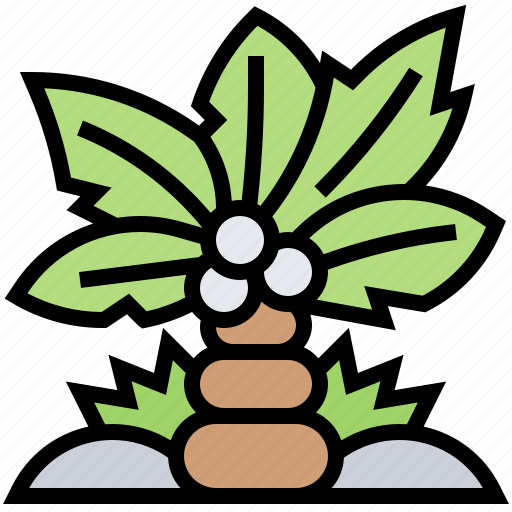 Nature, palm, plant, tree, tropical icon - Download on Iconfinder