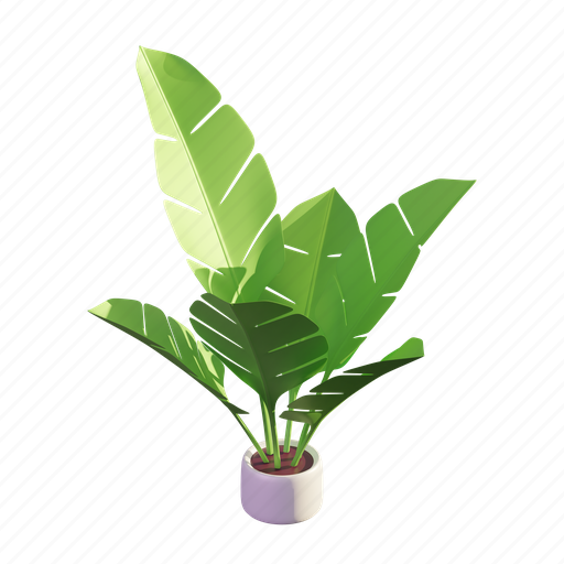 Banana, leaf, summer, tropical, plant, nature, pot 3D illustration - Download on Iconfinder