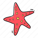 starfish, sea, animal, star, ocean