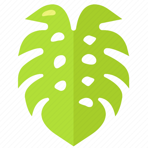 Monstera, leaf, nature, tropical, farming, gardening, exotic icon - Download on Iconfinder